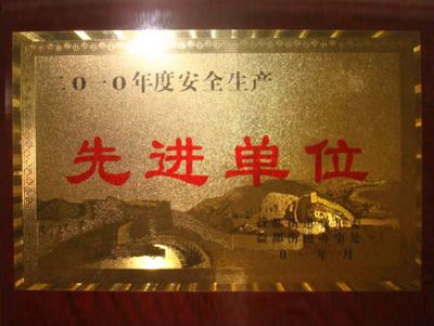 點擊查看詳細信息<br>標題：2010年度安全生產先進單位 閱讀次數：4549